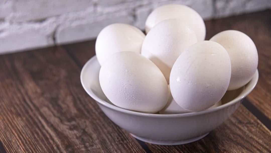 Free Range Eggs Benefits Identification And Protein Facts 