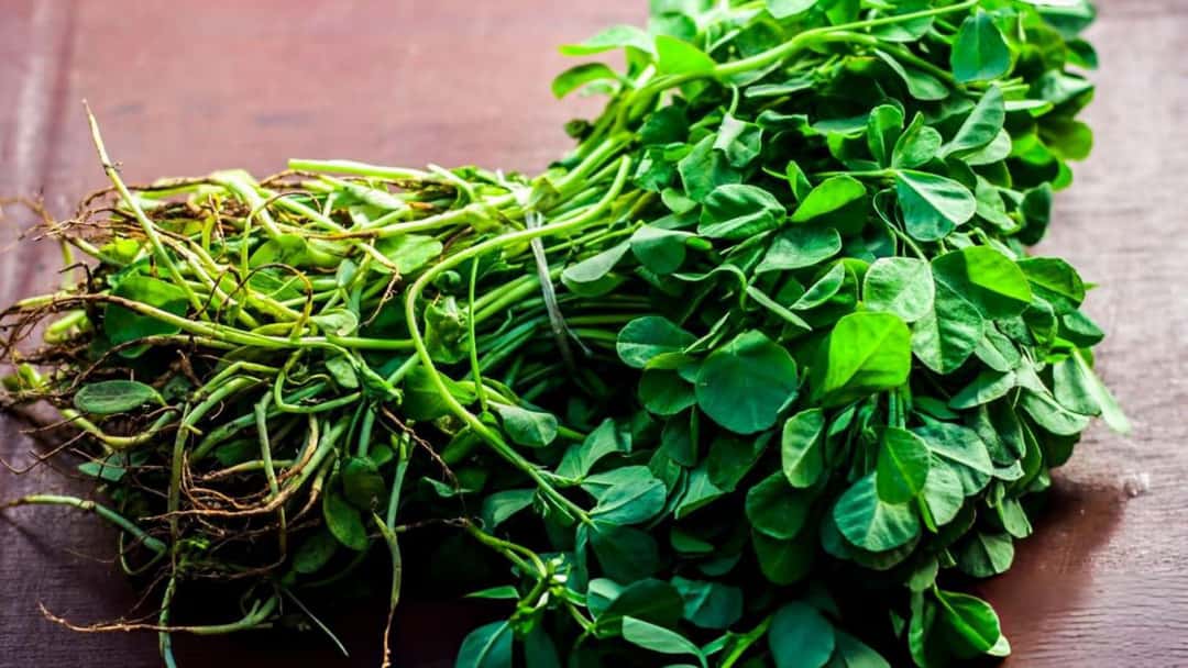 Fresh Methi Leaves