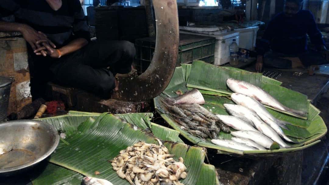 An array of fish arranged at a Kolkata fish market.