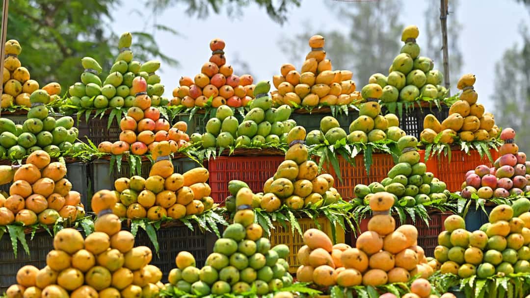 Mangoes on a table - banner image
