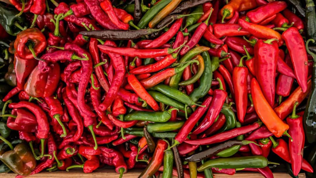 Red Hot Chilli Peppers in a crate