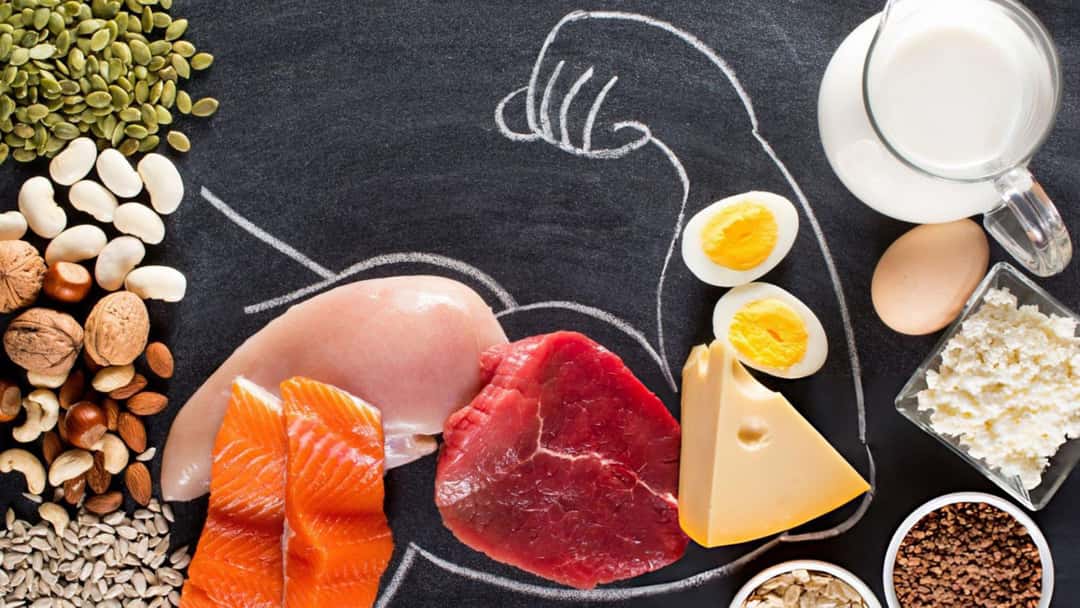 Rich sources of protein