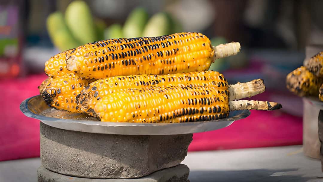 Roasted bhutta on hot coals