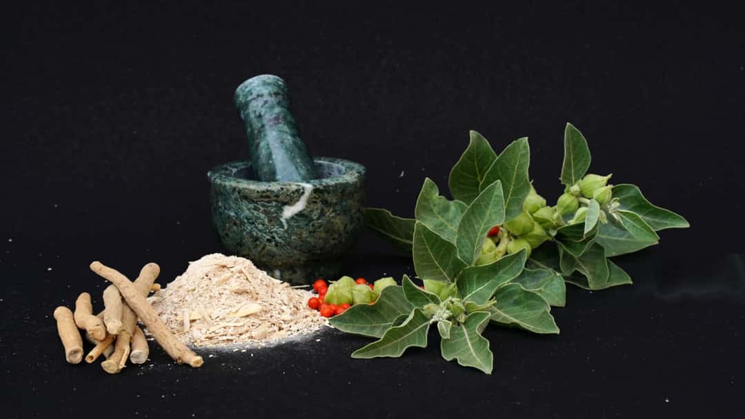 Role Of Superfoods In Daily Diet 