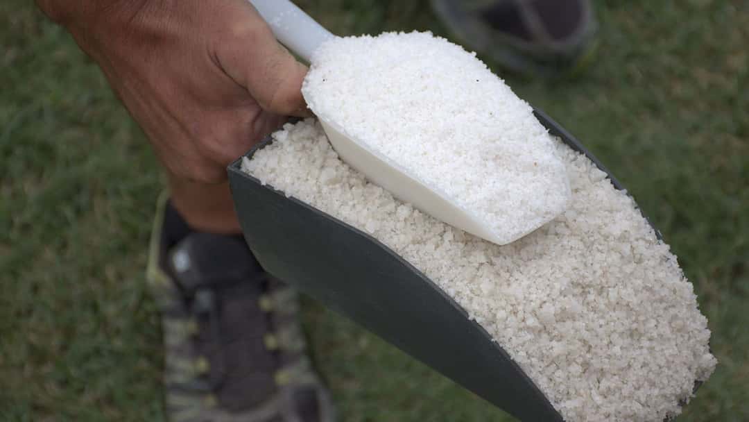 Types of salt - banner image