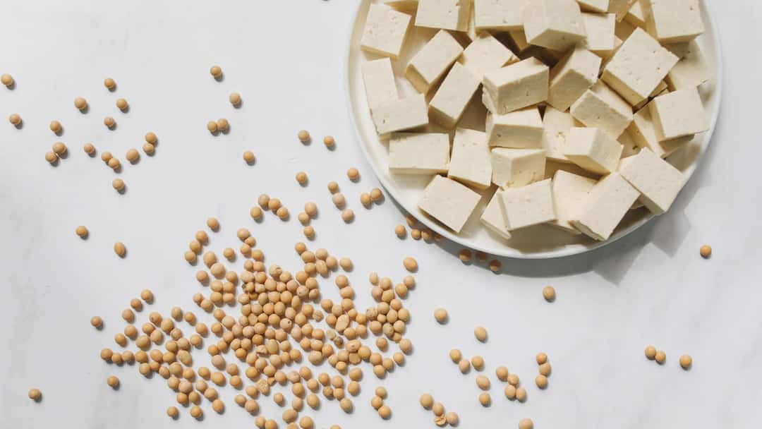 Vegan paneer substitutes
