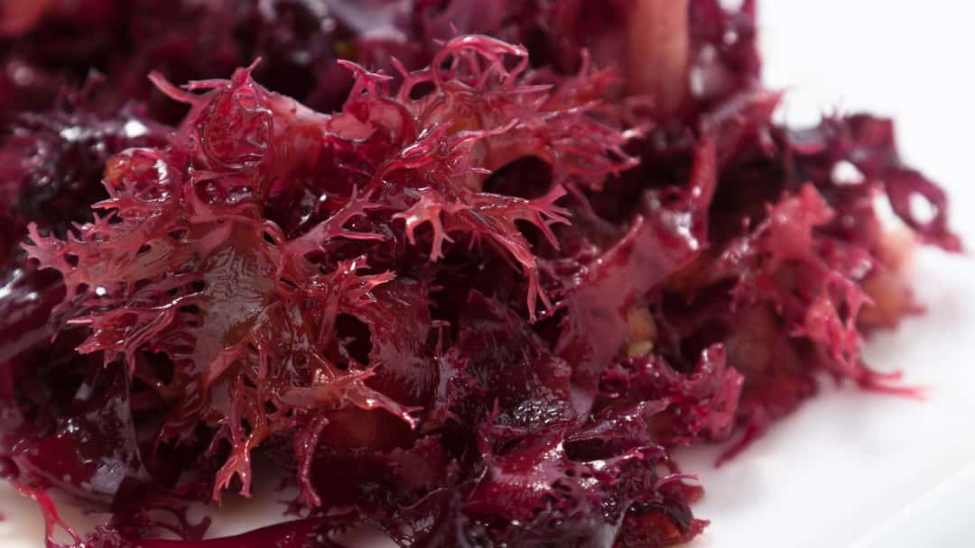 Viral Japanese seaweed aka nori.