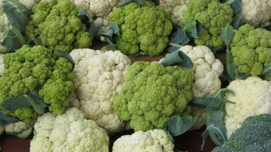 cauliflowers and broccoli. 