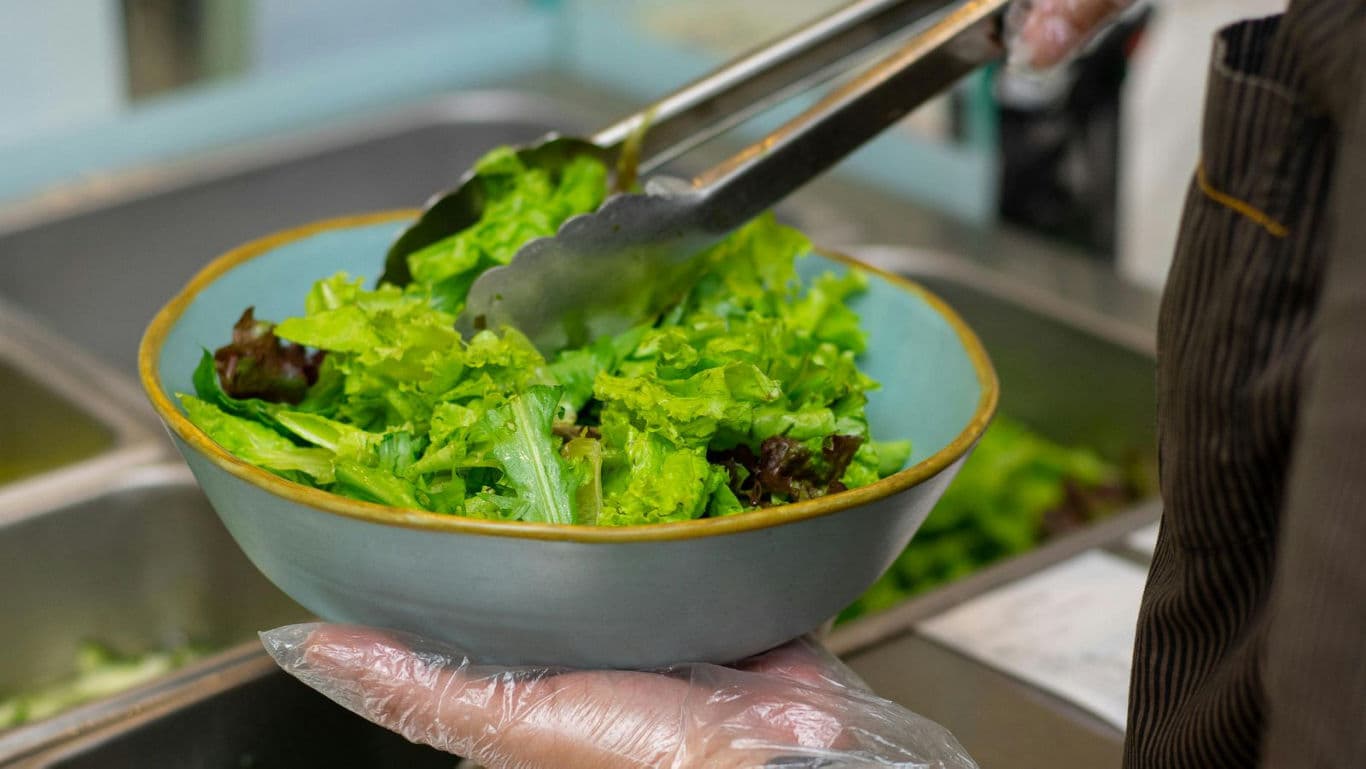Fresh green salad served in ceramic bowl