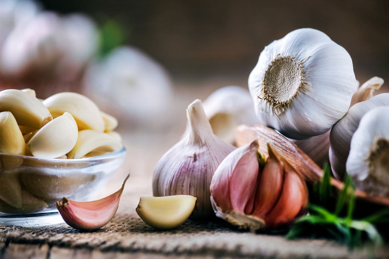 Garlic Benefits