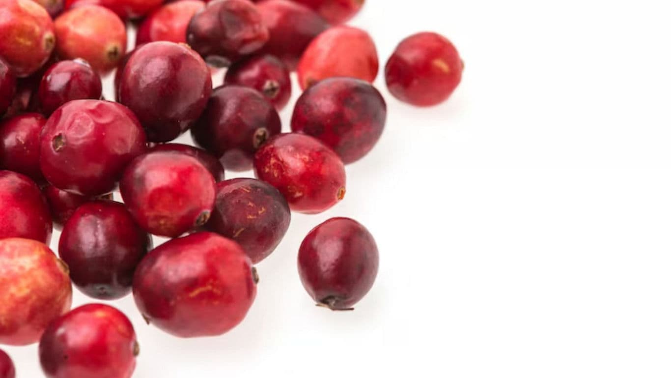 Fresh red cranberries on white background
