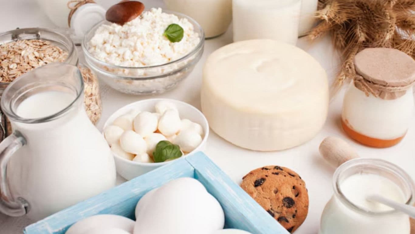 Assorted Dairy Products with Milk and Cheese Display