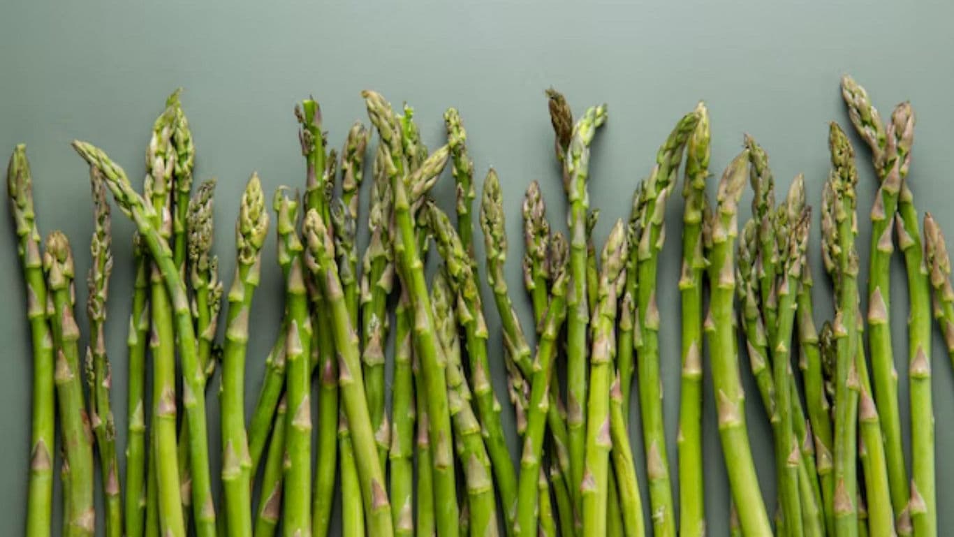 Fresh green asparagus spears on light background