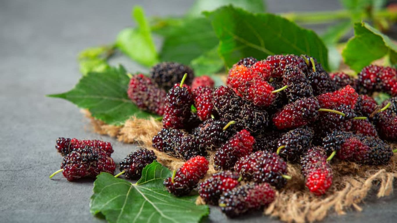 Fresh ripe mulberries on rustic surface