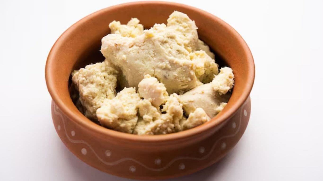 Fresh homemade paneer in traditional clay bowl