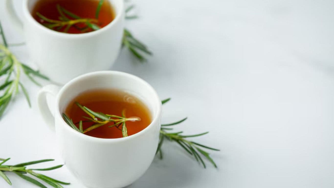 Herbal tea in white cups with rosemary