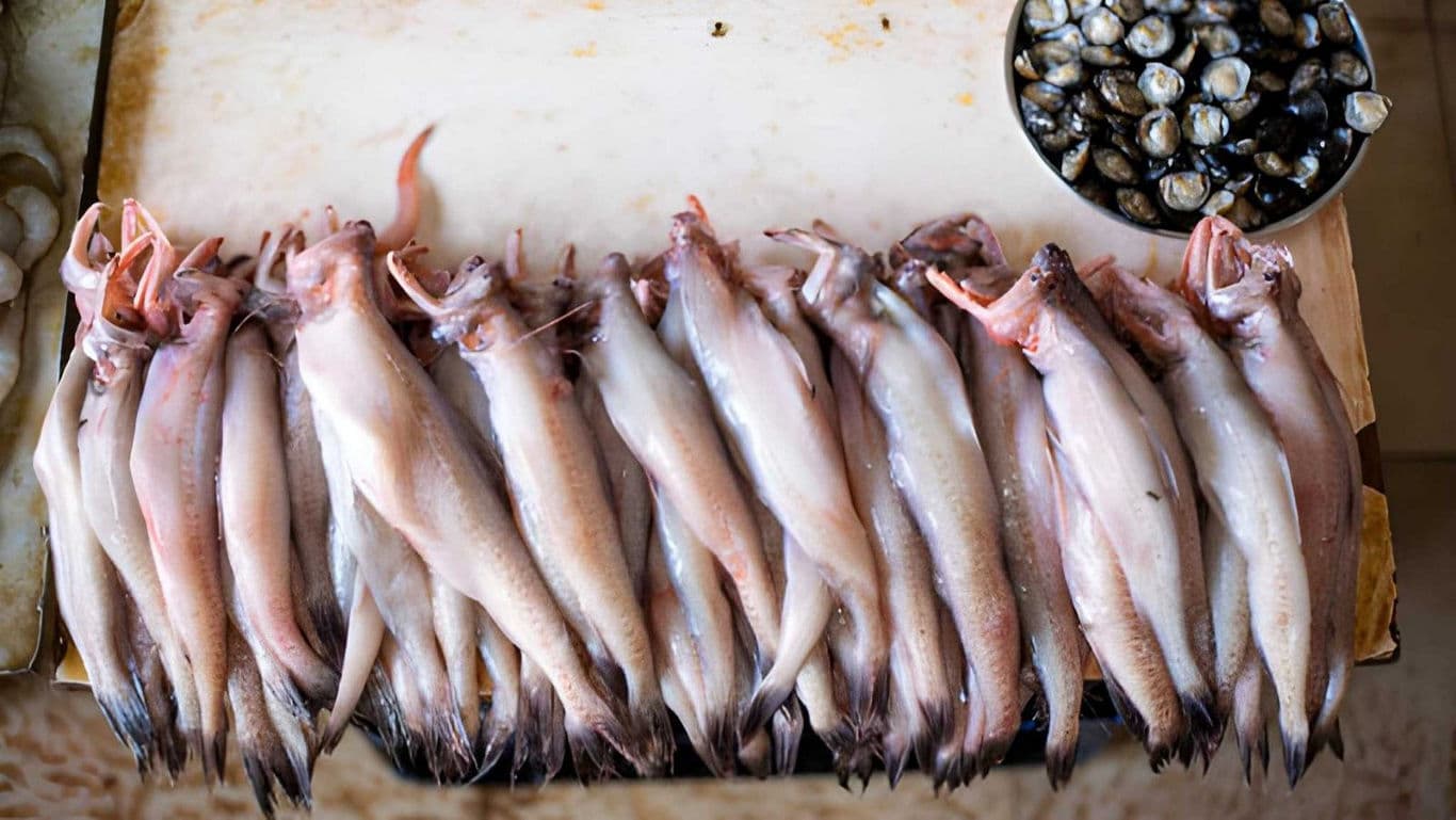 Fresh fish and clams displayed on market table