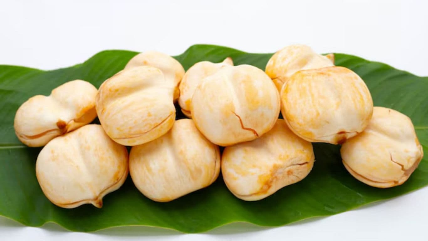 Fresh Nutmeg Fruit Pile on Green Leaf