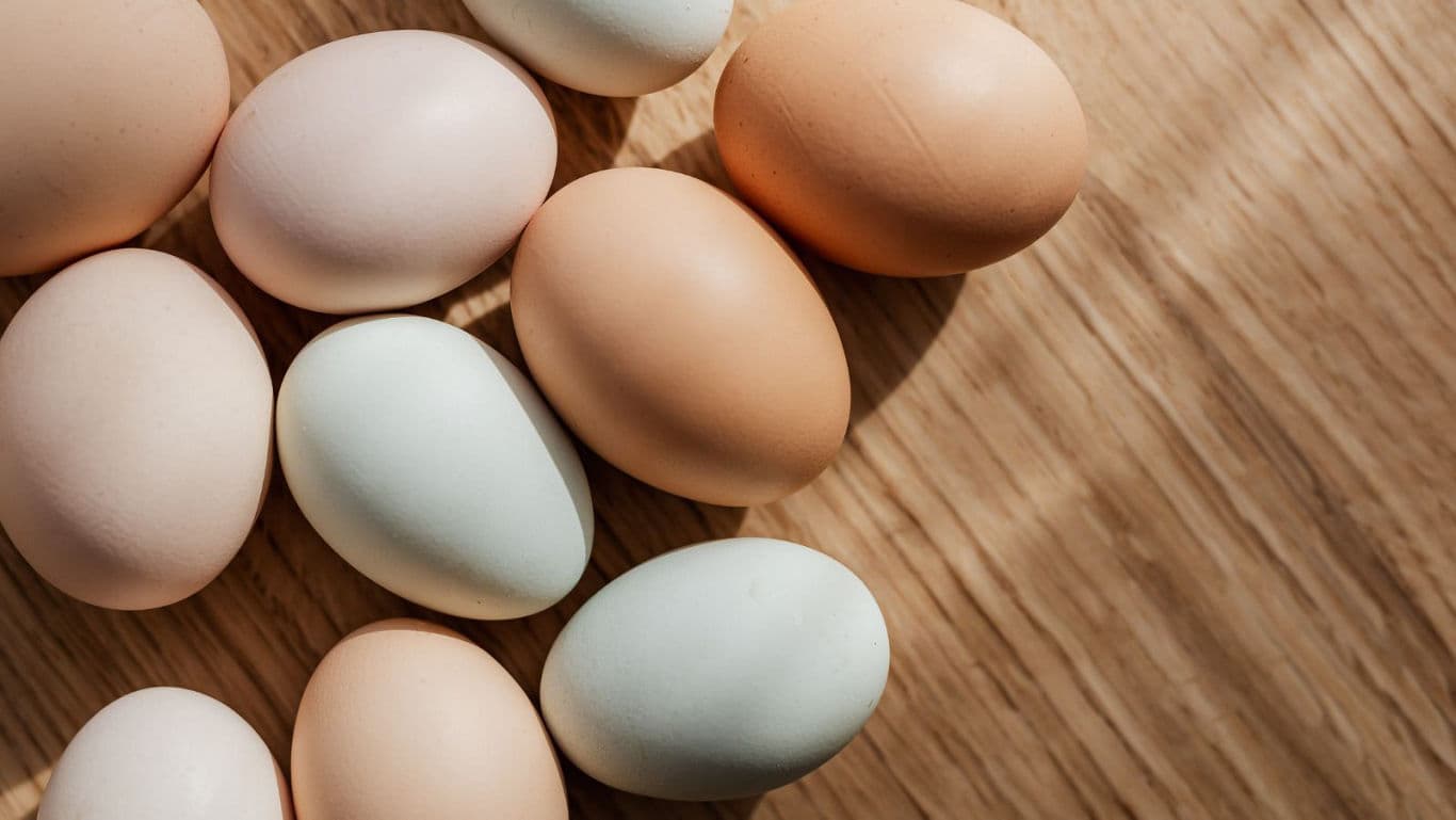 Assorted Farm Fresh Eggs on Wooden Surface