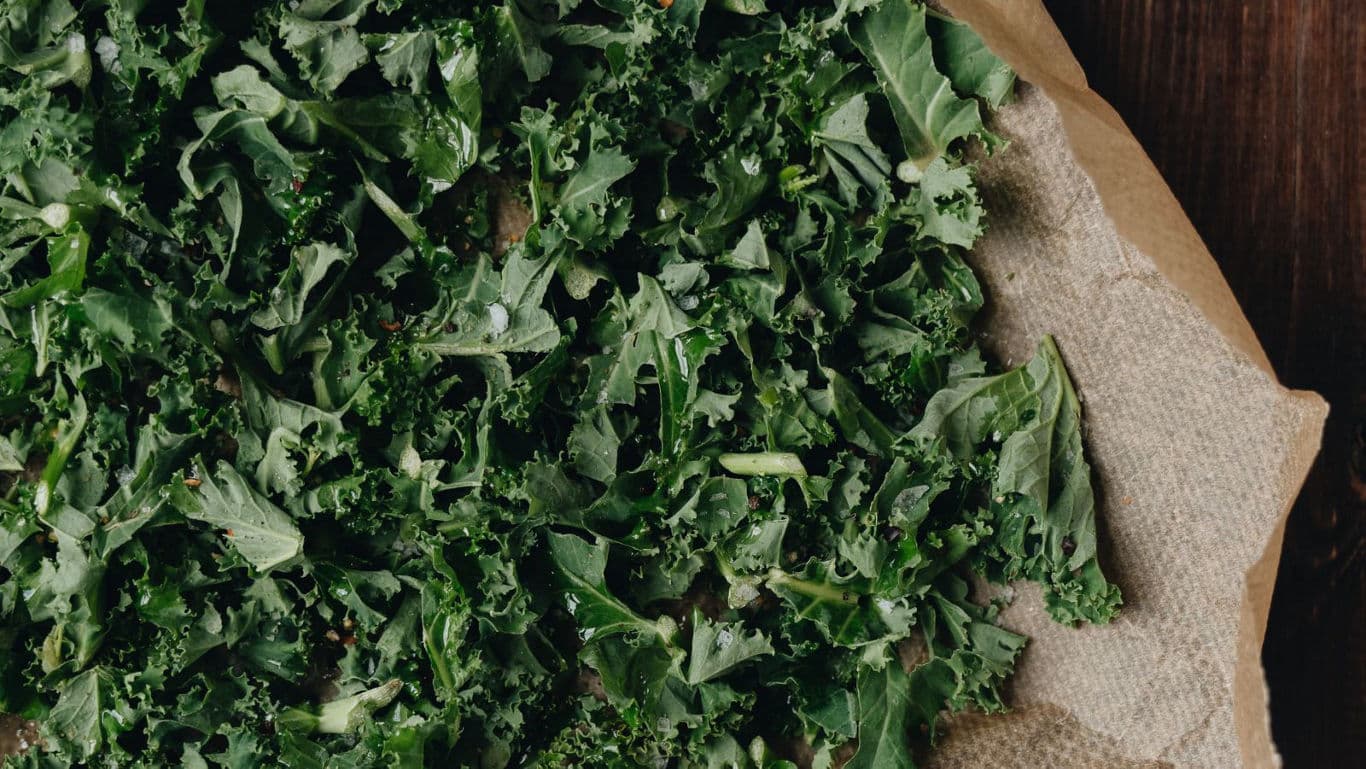 Fresh kale leaves on baking parchment