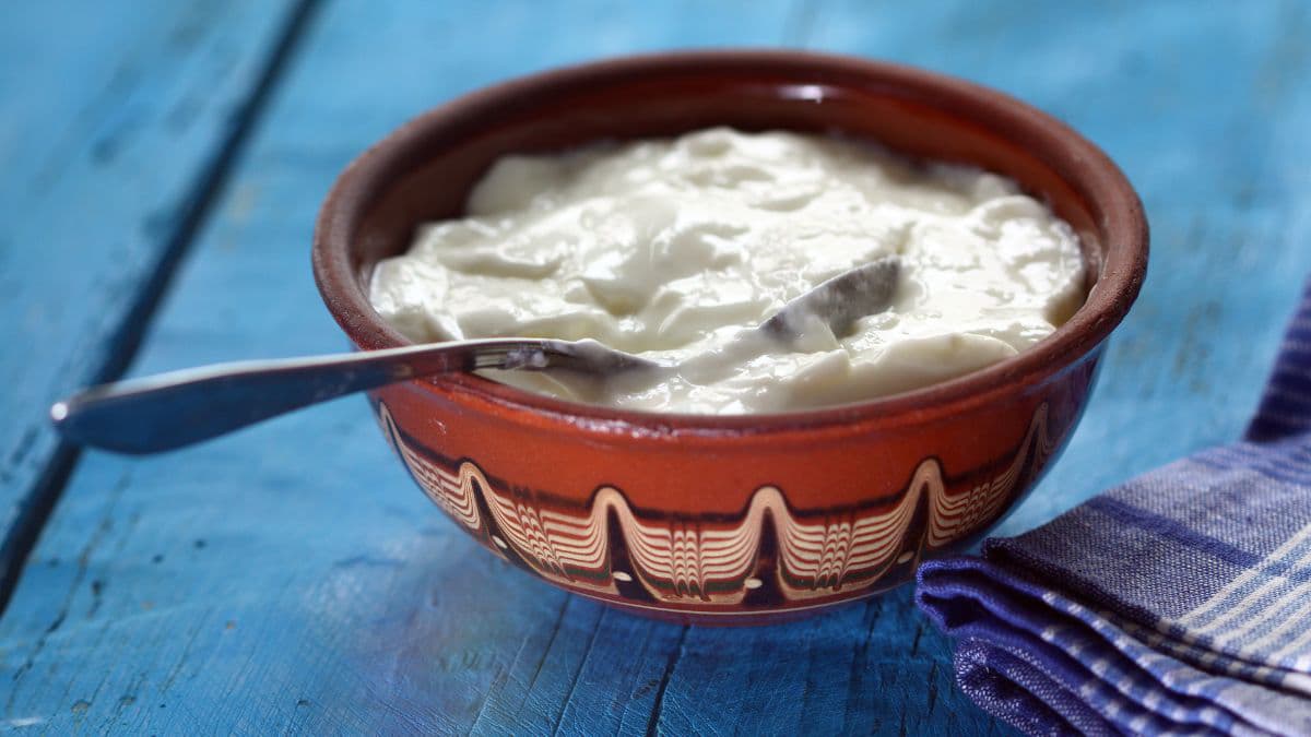 bowl of curd