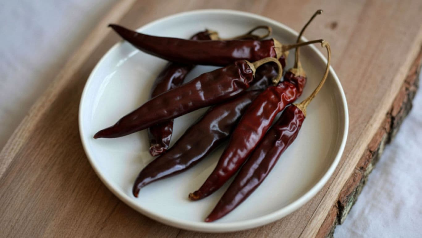 Dried red chili peppers on white plate