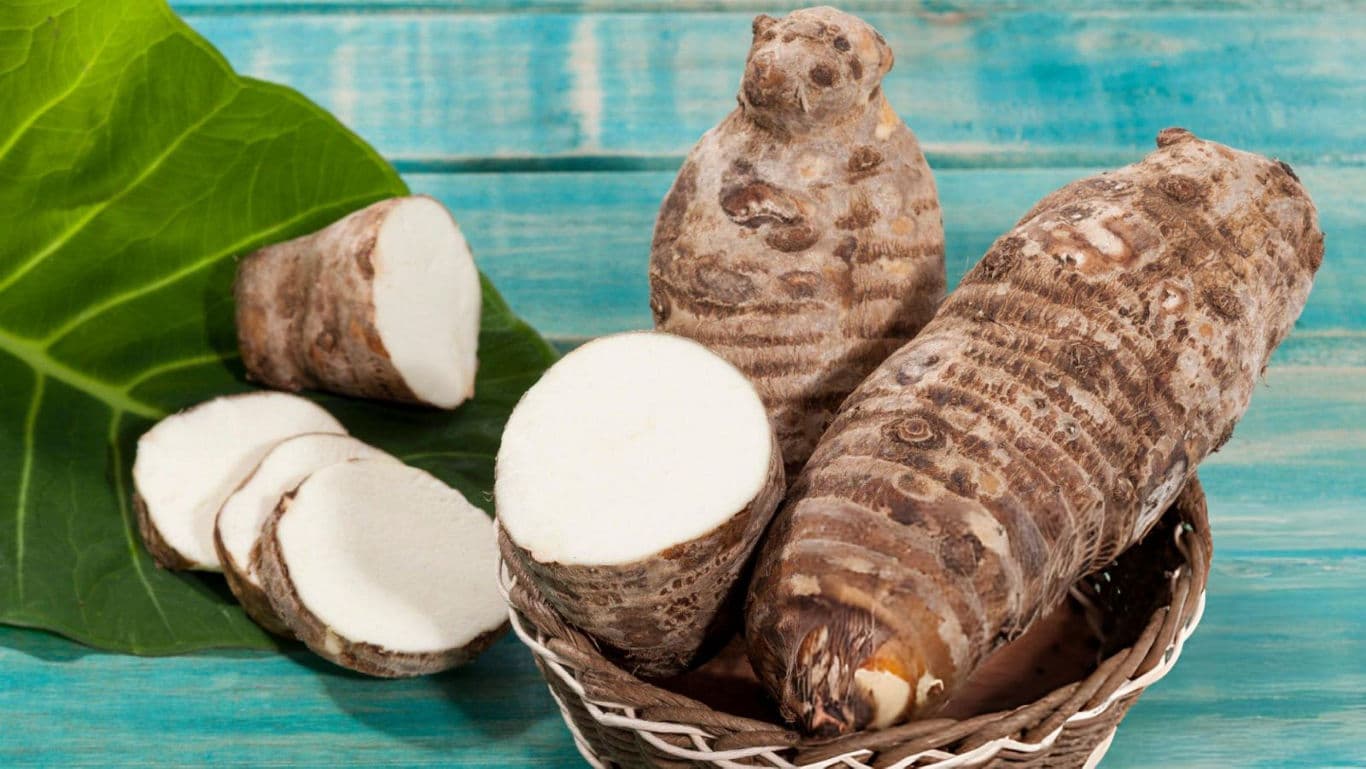 Fresh taro roots with sliced pieces