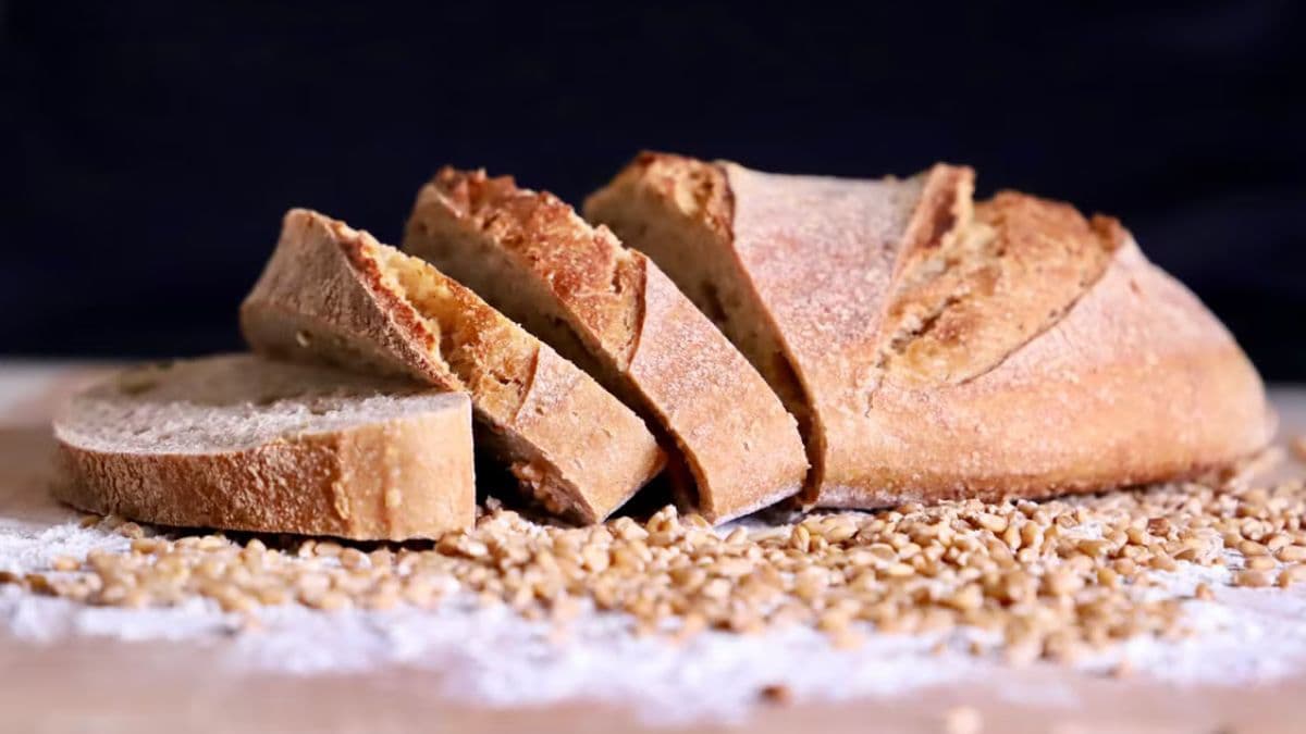 khapli wheat atta bread slices