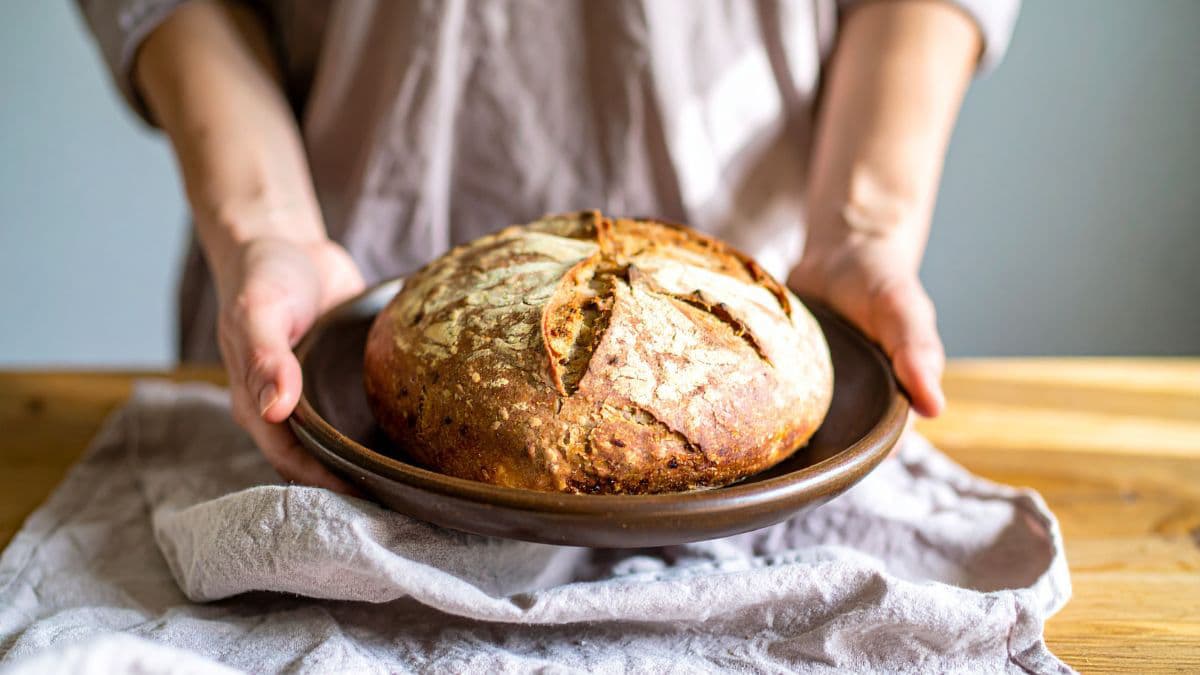 Freshly baked sourdough loaf