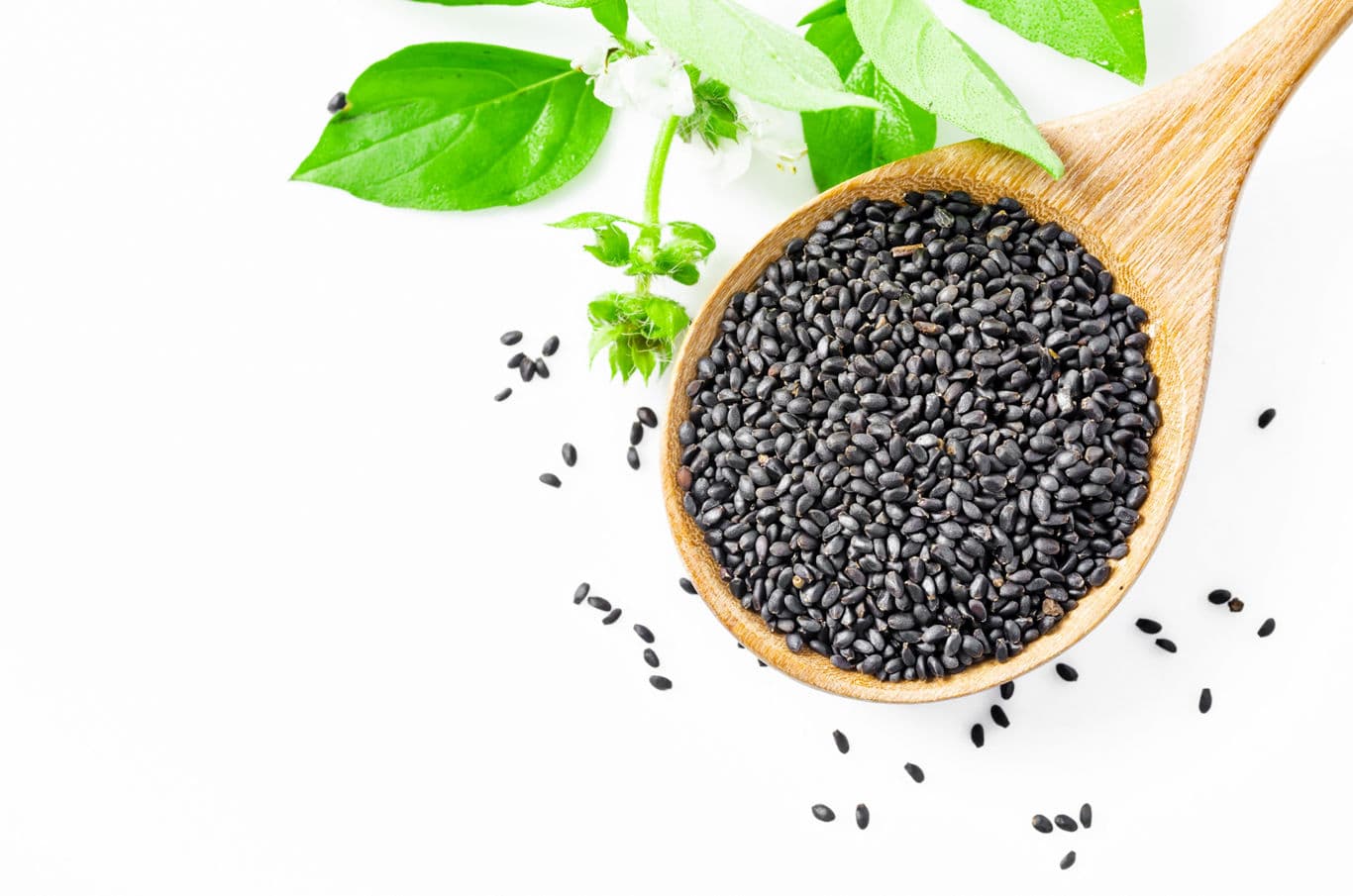 Basil Seeds
