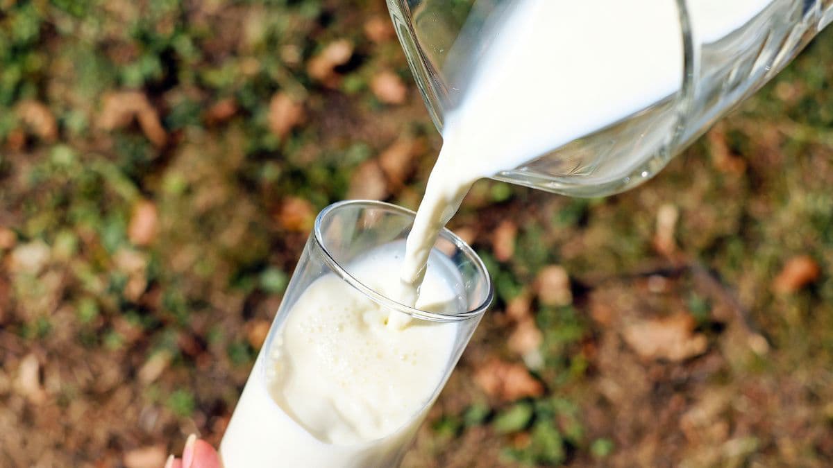Milk being poured at an angle