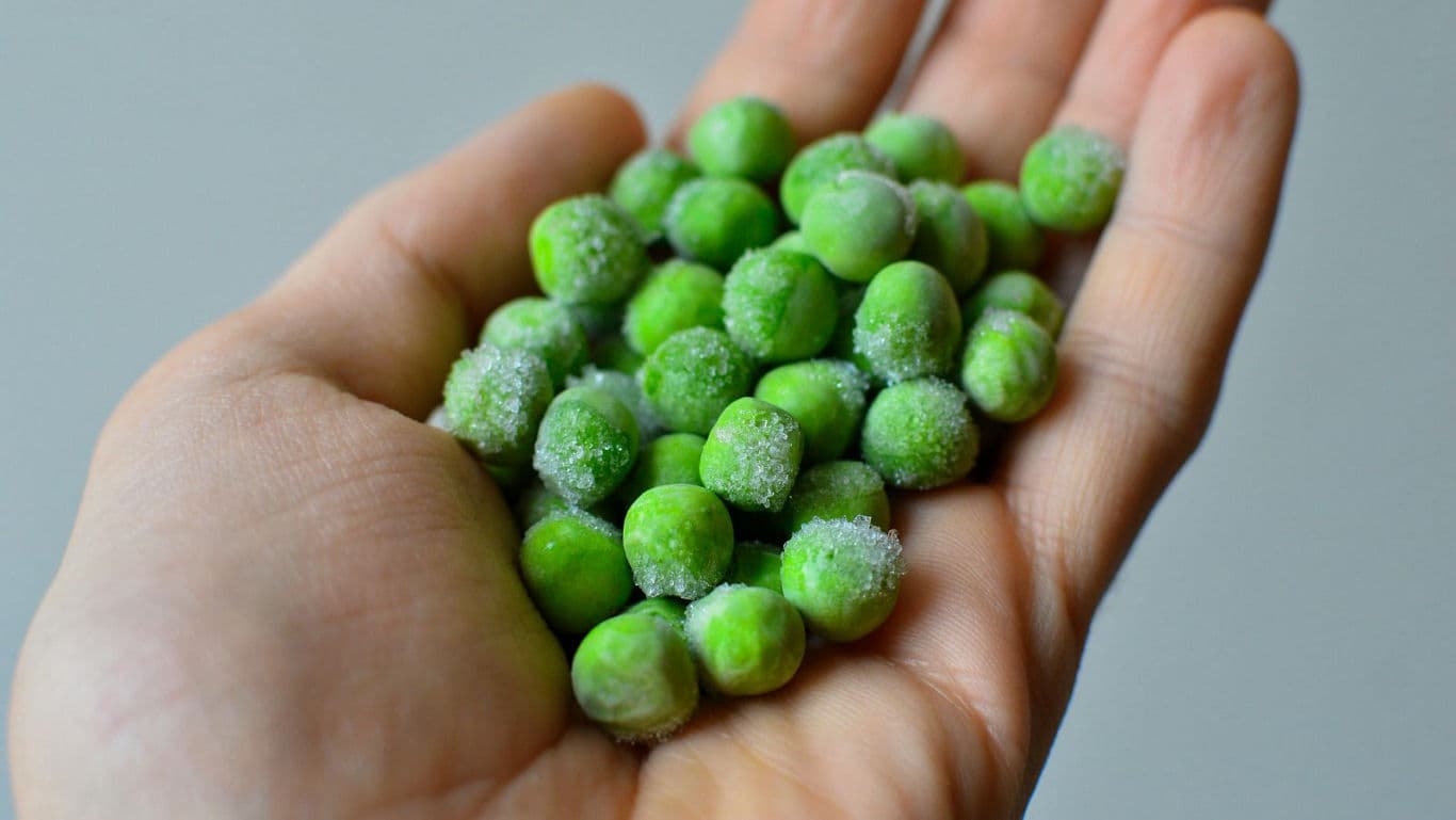 Hand Holding Frozen Green Peas Closeup