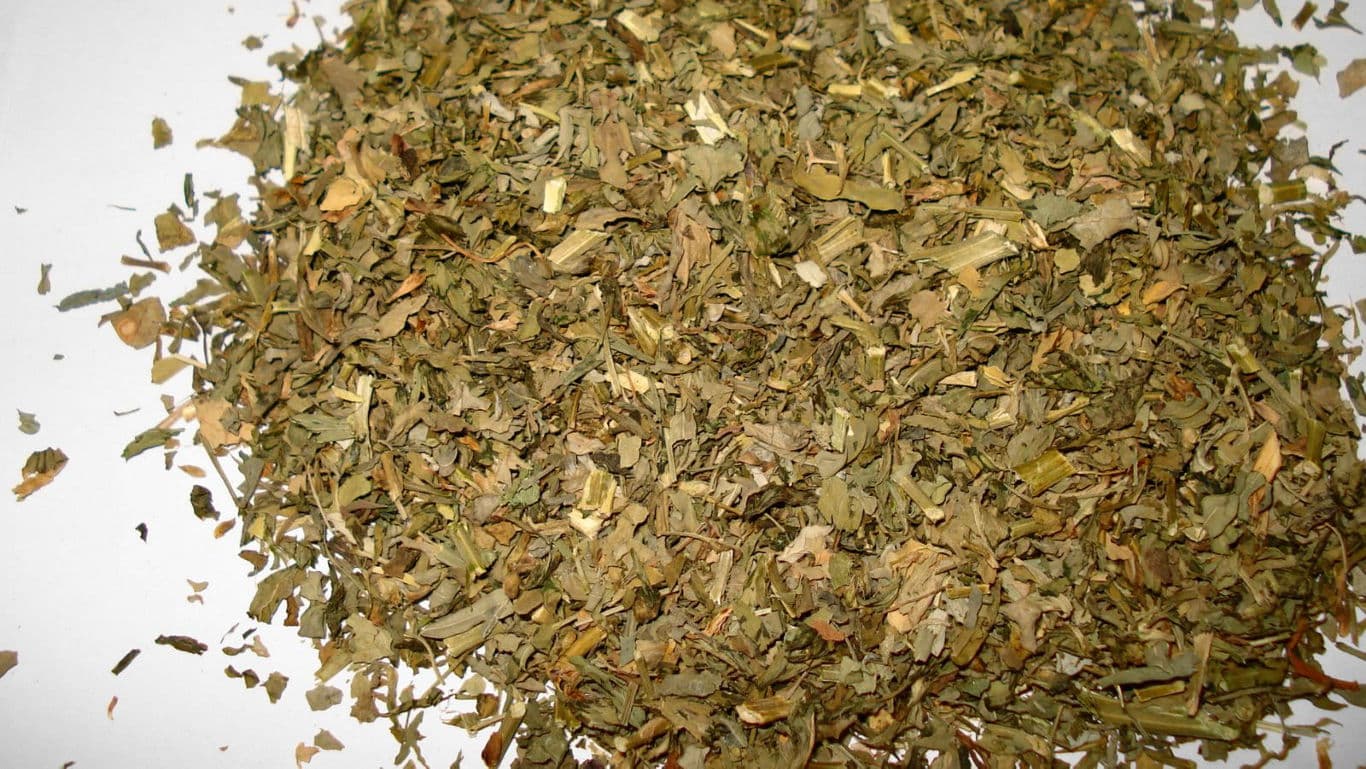 Pile of dried green herb leaves closeup