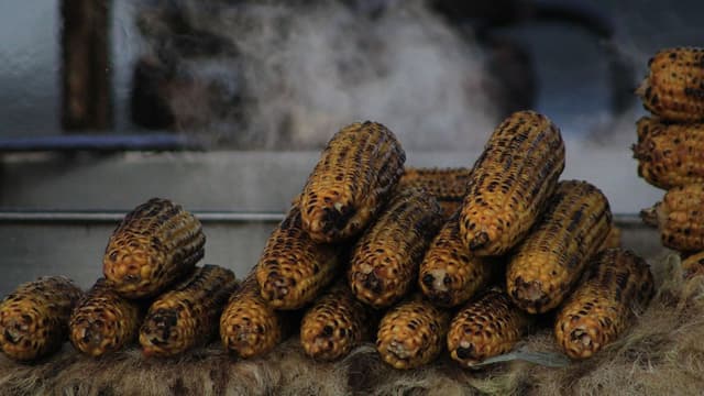 Bhutta