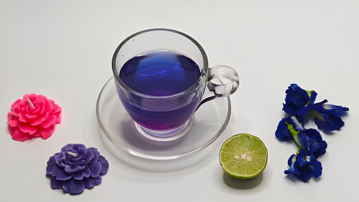 A cup of blue tea with lemon on the side