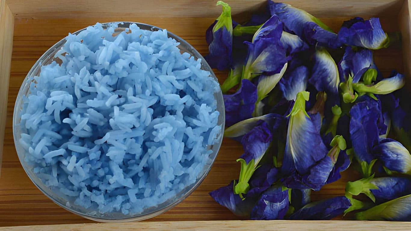 Blue butterfly pea rice with fresh flowers