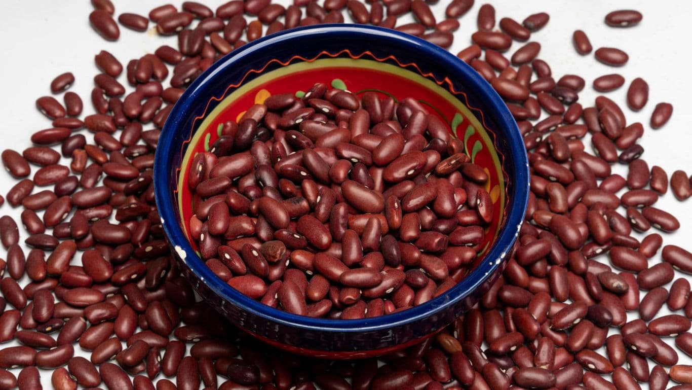 Colorful bowl filled with red kidney beans
