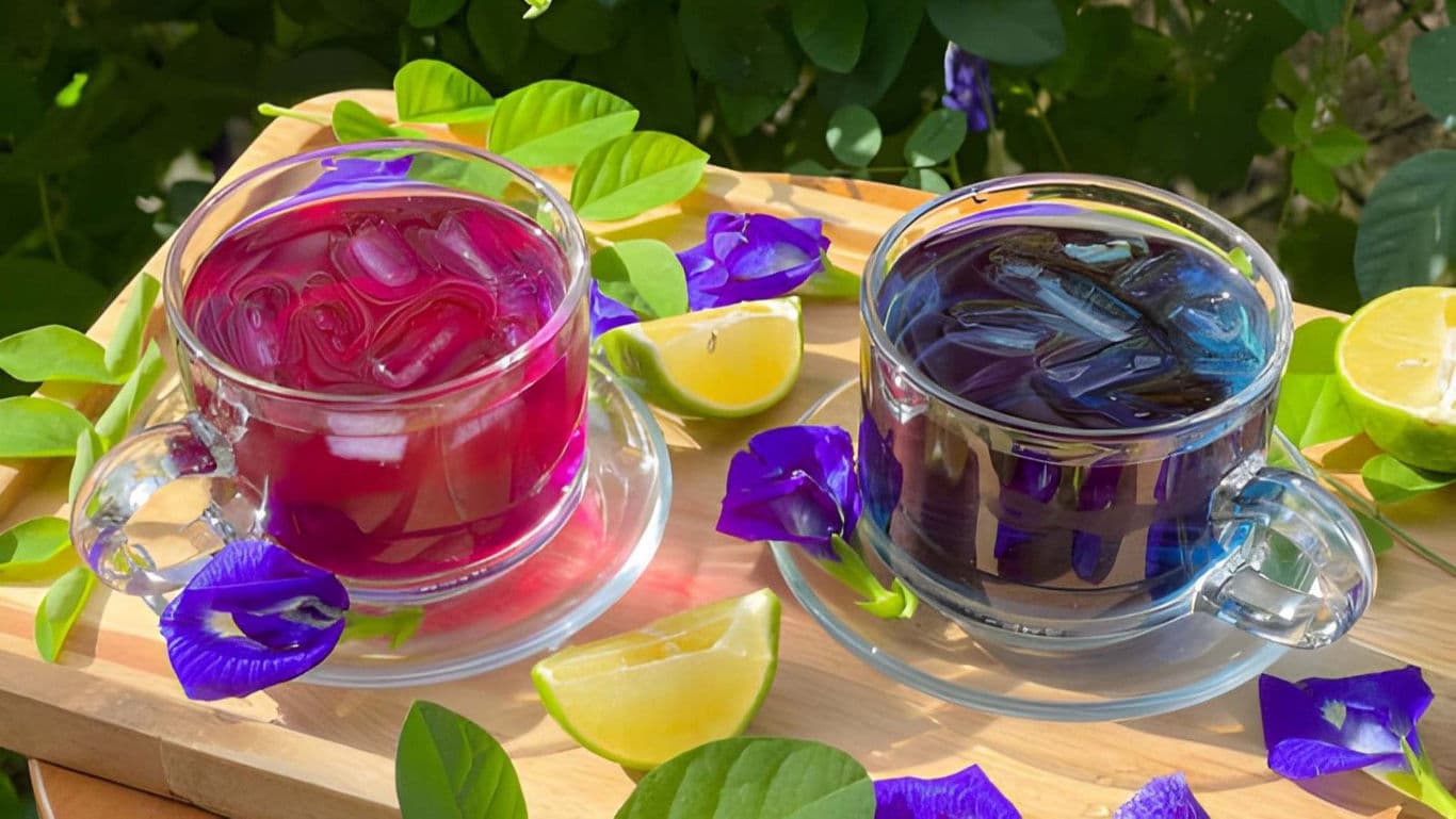Butterfly Pea Tea.