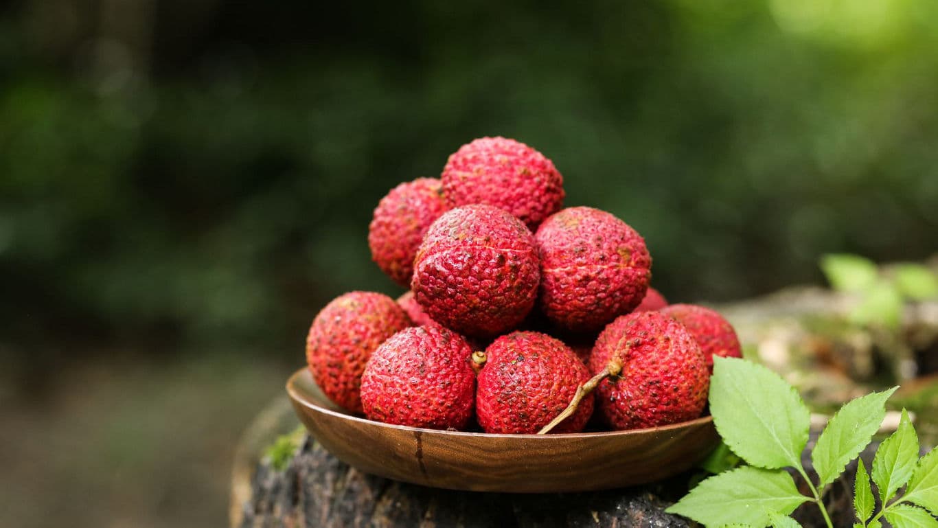 Fresh lychees in wooden bowl outdoors