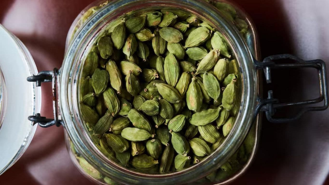 Glass jar filled with whole green cardamom pods