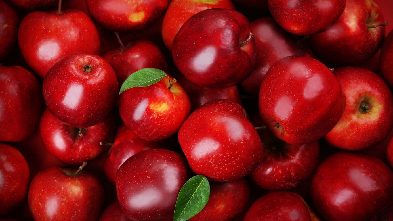 Fresh red apples with glossy skins