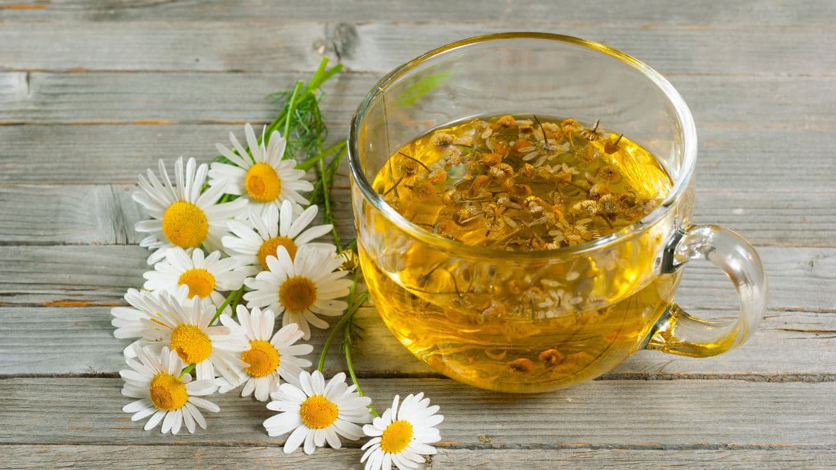 Chamomile tea cup surrounded by flowers