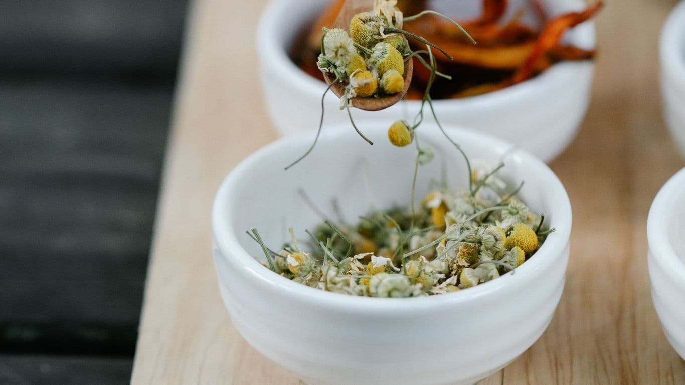 Dried chamomile flowers in white ceramic bowls