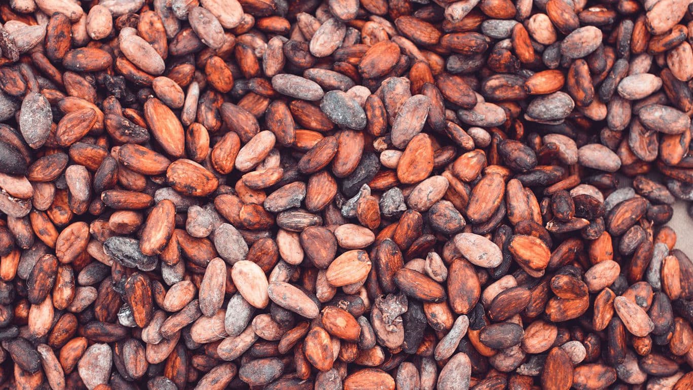 Cocoa Beans