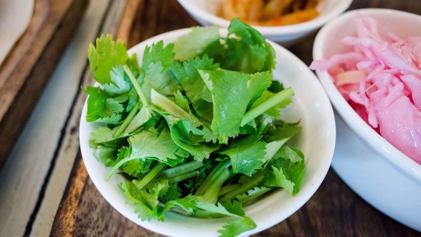 Cilantro