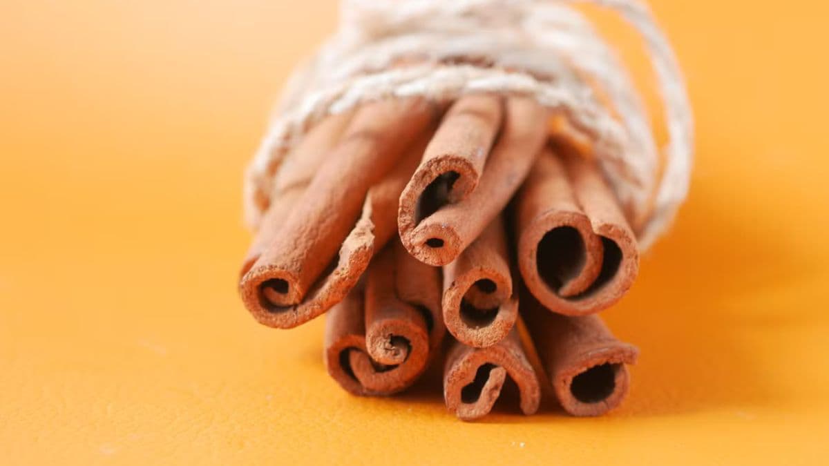 Masala chai recipe: Cinnamon stick