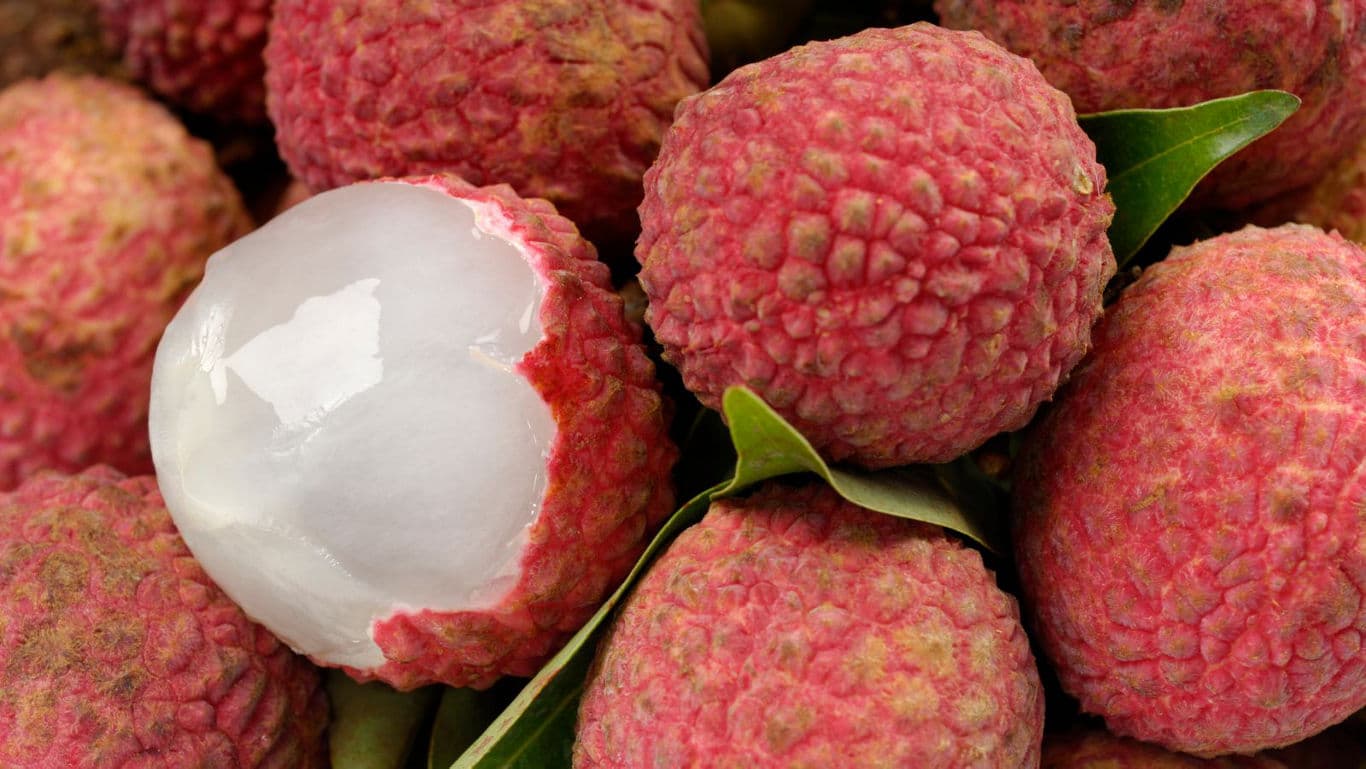 Closeup of juicy lychee.