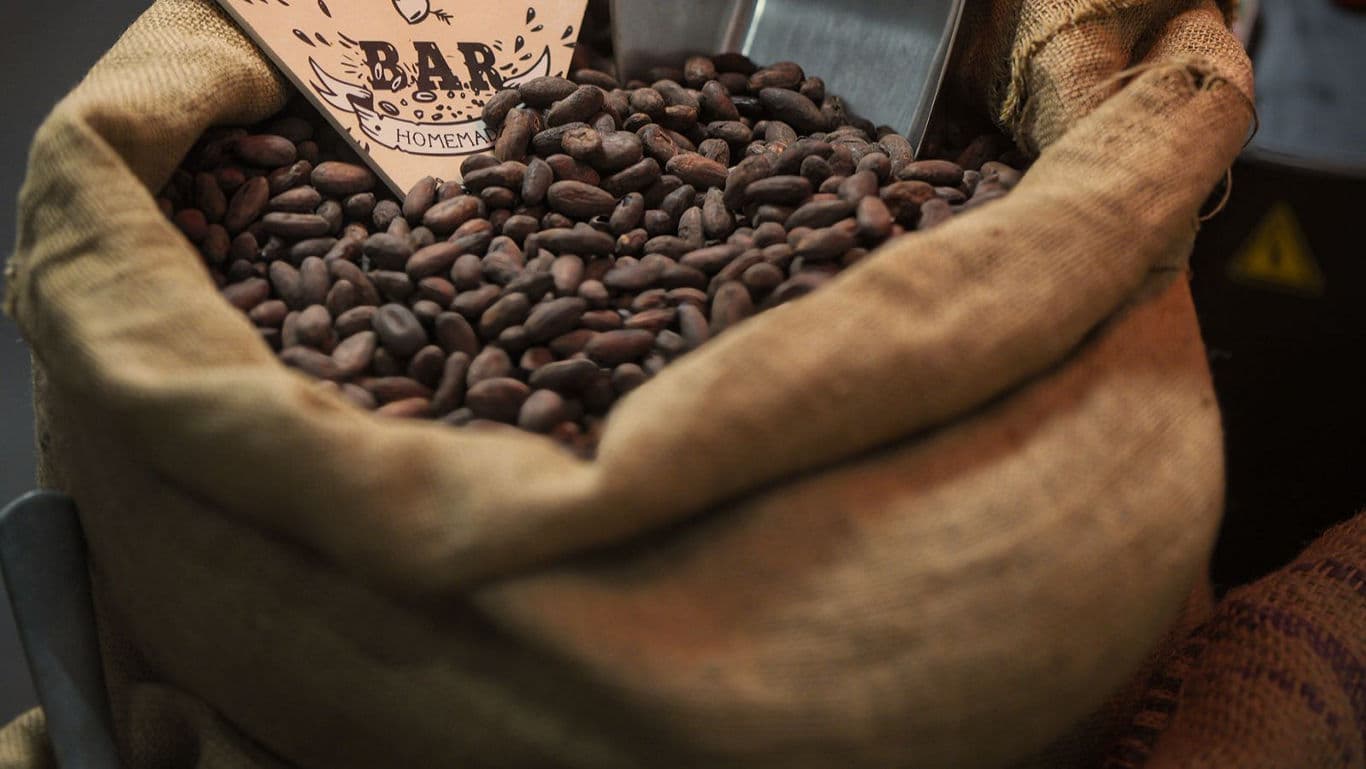 Cocoa Beans