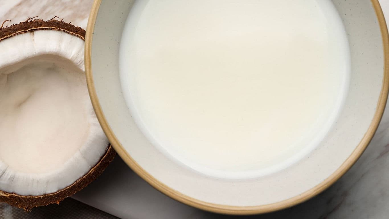 Coconut milk in a bowl.