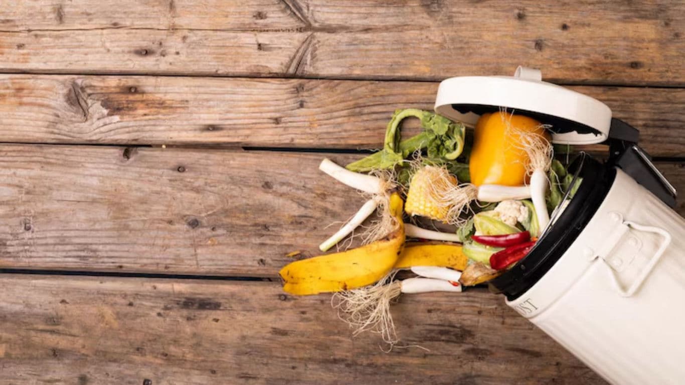 Food waste spilling from white bin